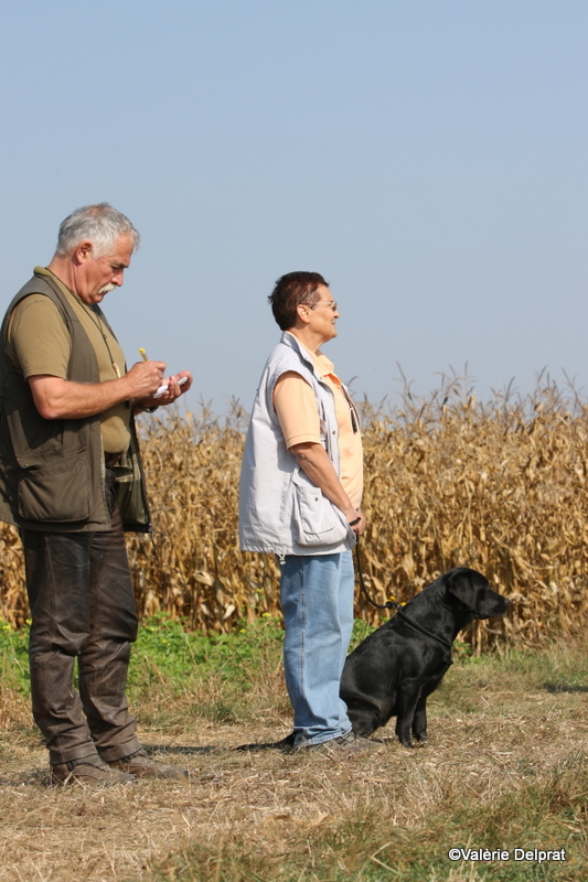 Field Erstein 09 (40).JPG